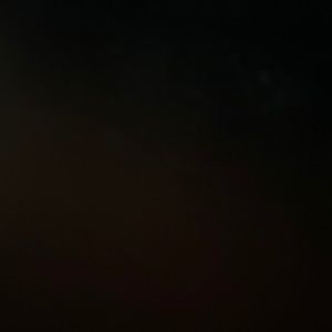 Meet your Posher, Rocky